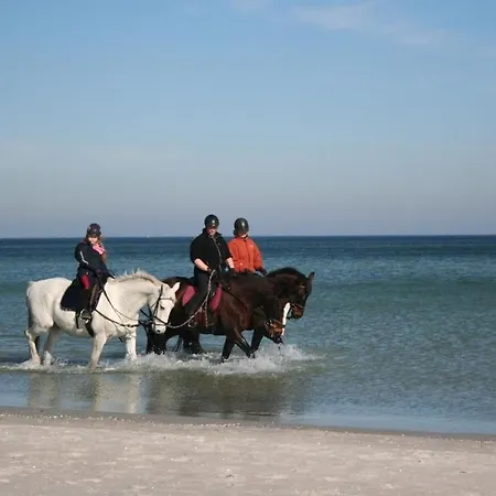 View 1 Hébergement de vacances