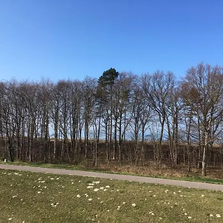 View 1 * 징스트